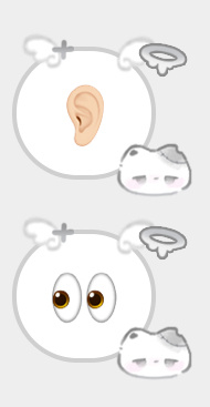 上网日常： 