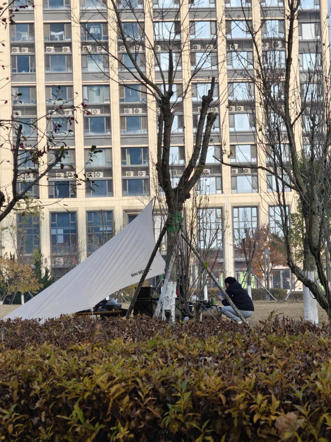 今天周末，不过对于我这个退休的人来说，无所谓周末不周末了，按照惯例下楼散步。不过