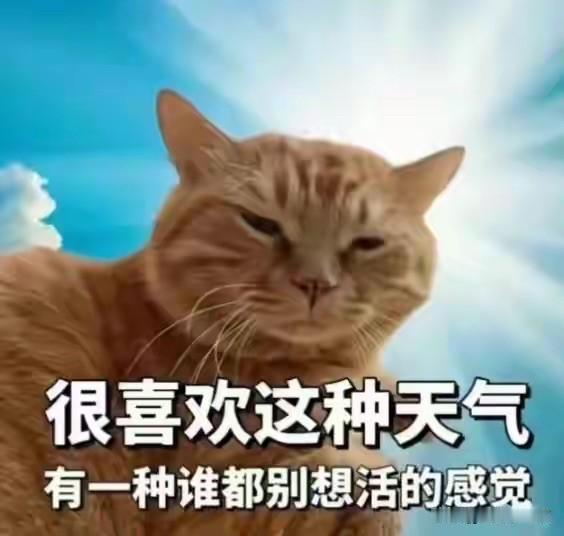刚睡醒，我都纳闷我怎么一觉睡到了九点多。
我和狗前半夜都没睡好，又热醒了。
这狗