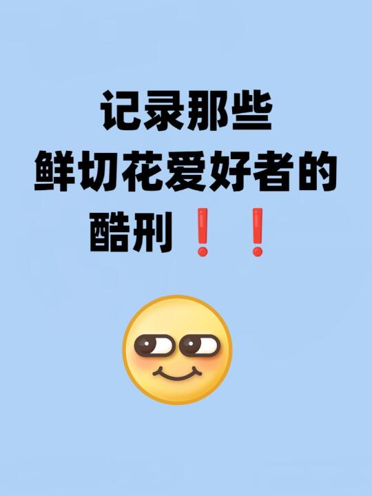 记录那些鲜切花爱好者的酷刑🙈😭