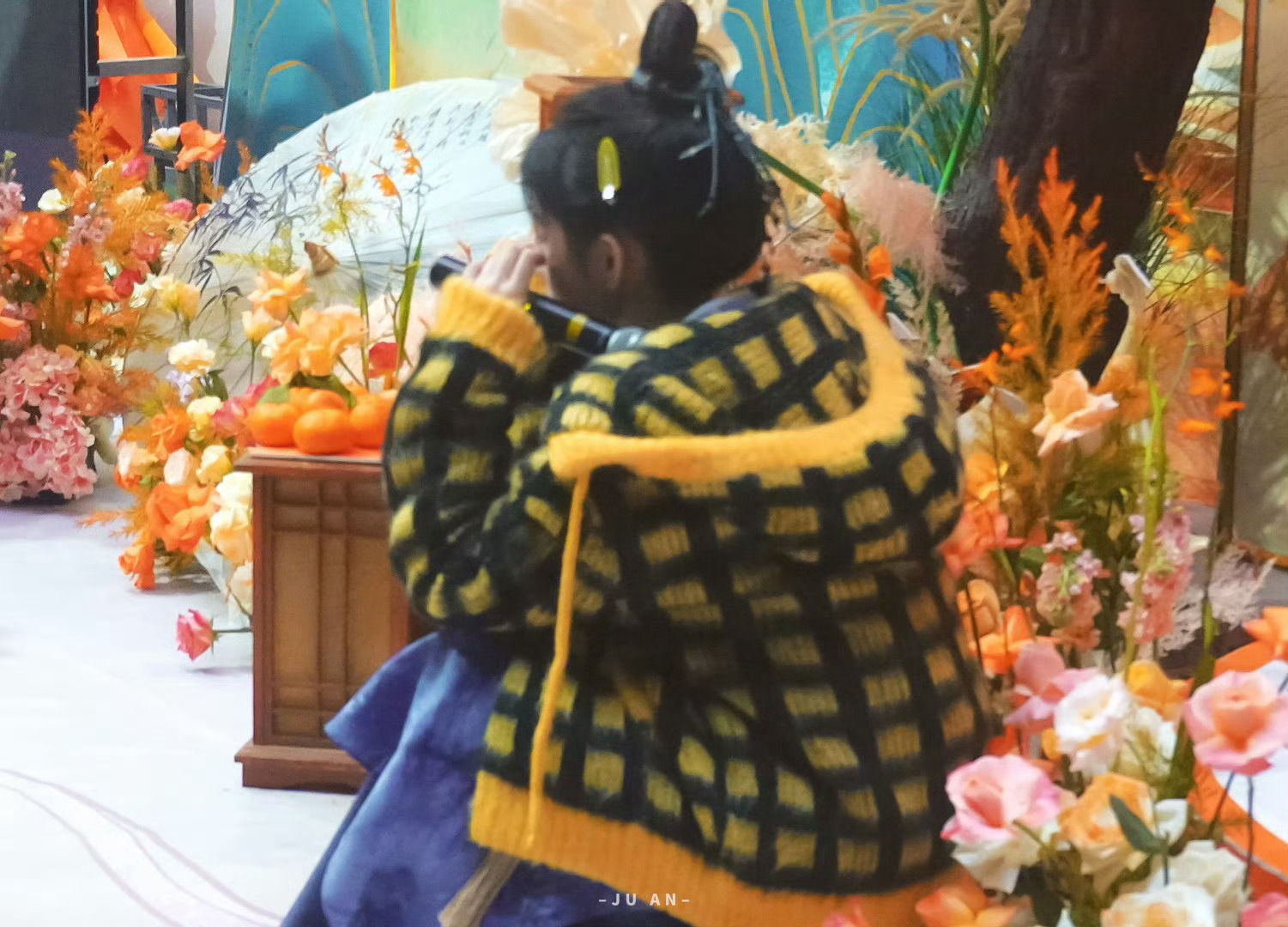 小小一只 