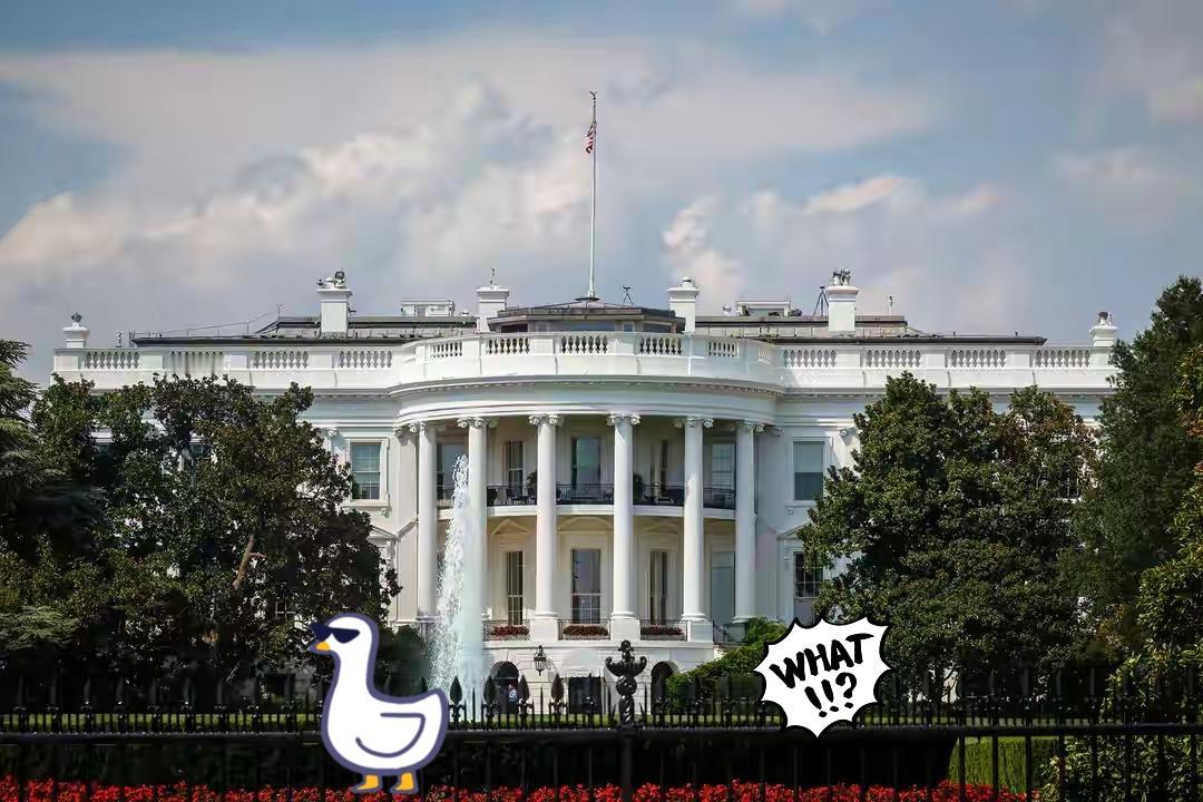 美国传来新消息了！

据新华社，美国总统特朗普12日下午在社交媒体发文称，任何与