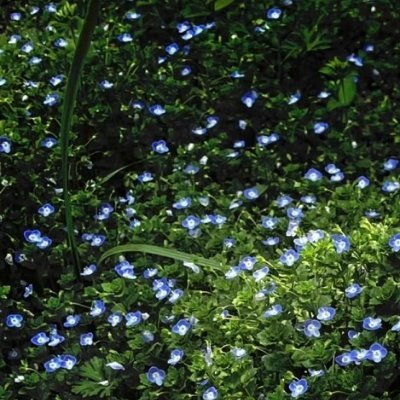 ☘️ ☘️ 也许你感觉自己与周遭格格不入，但正是那些你一个人度过的时光，让你变得