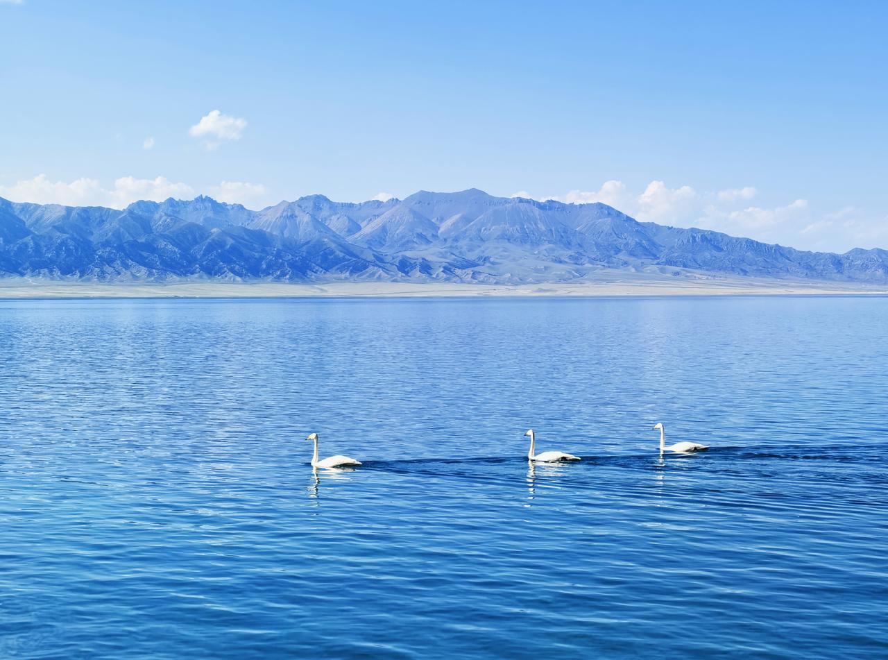 一张照片说明你去过赛里木湖赛里木湖号称世界最后一滴泪，纯洁、文静，给人无限遐想。