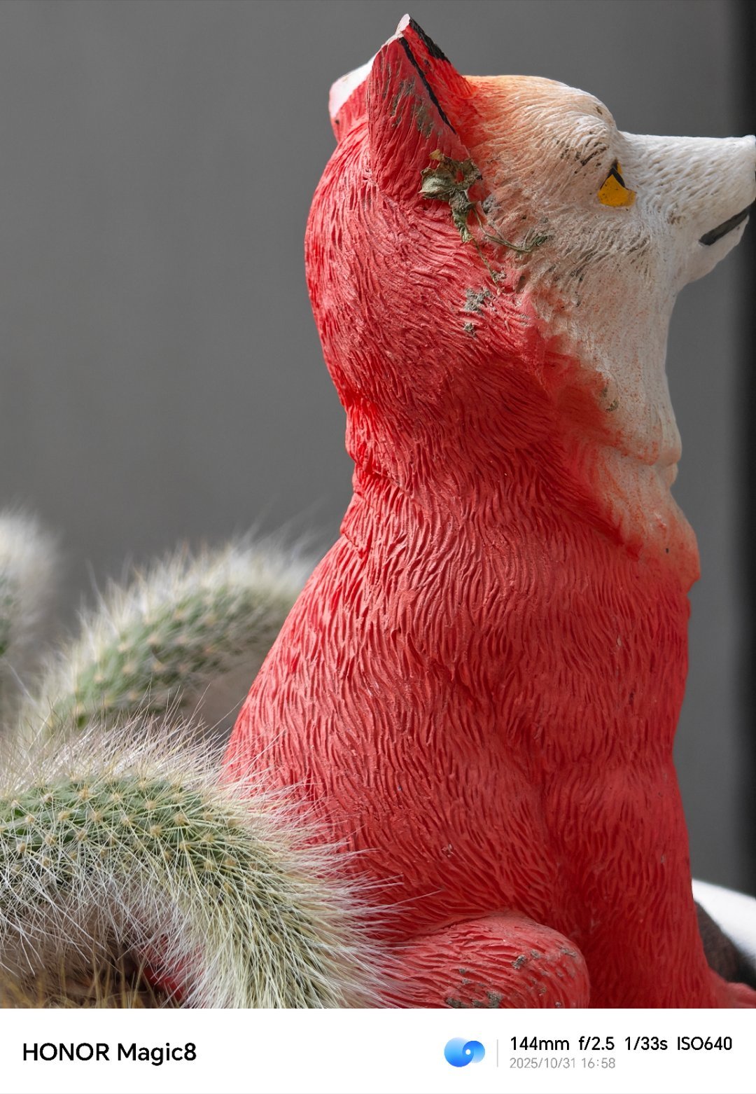 天地剑心话说这只“九尾狐”是不是在等有缘人[doge] ​​​