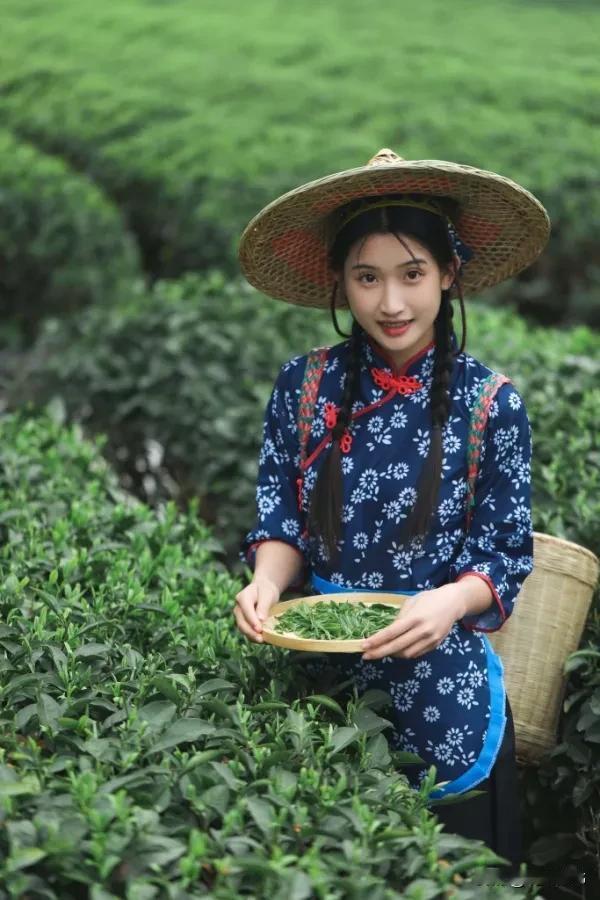 明前茶


“保鲜期”，从惊蛰节气算起
精准到春分，直至清明之前
只有短短十余天