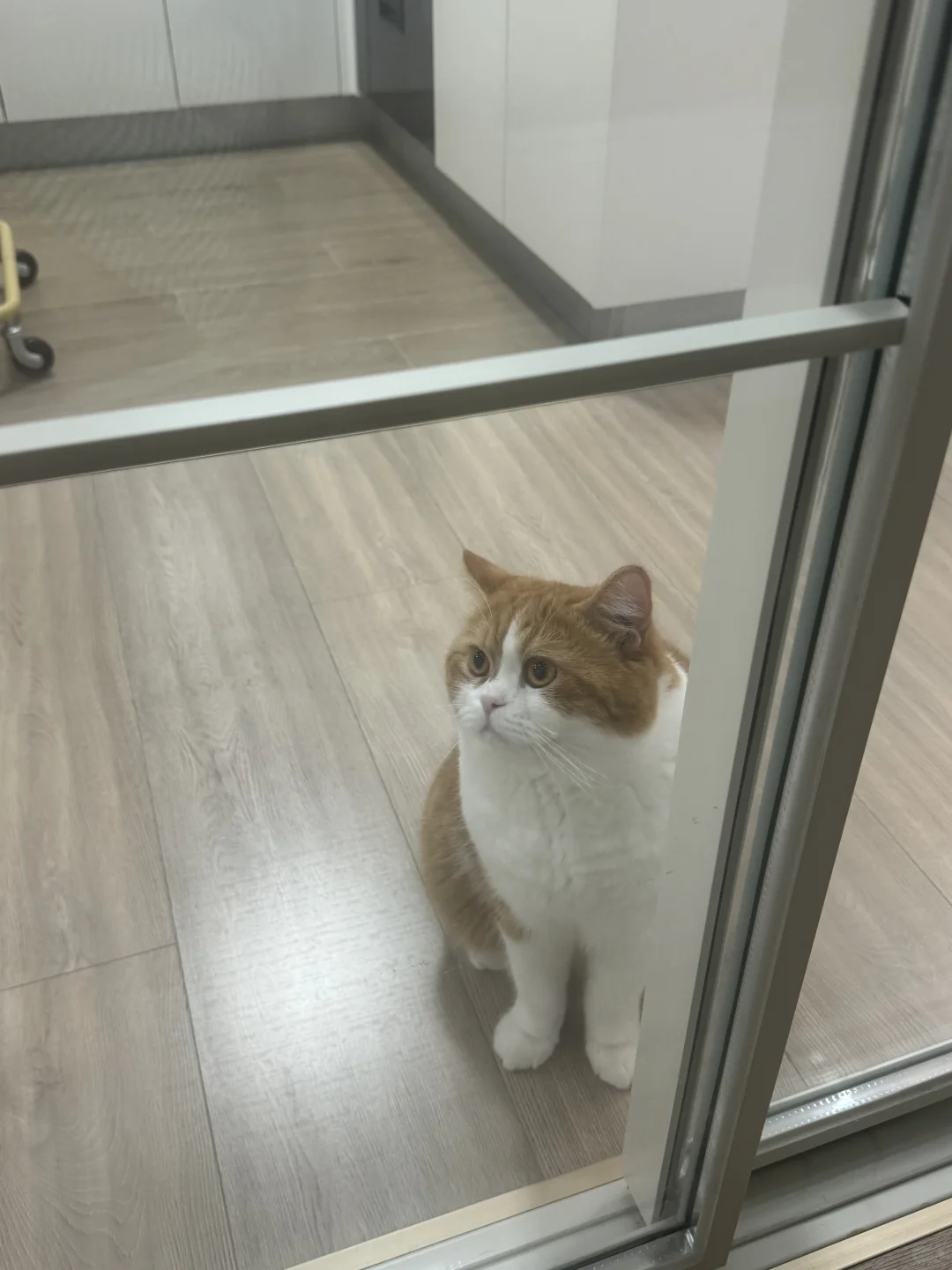 妈妈你怎么把自己关起来了