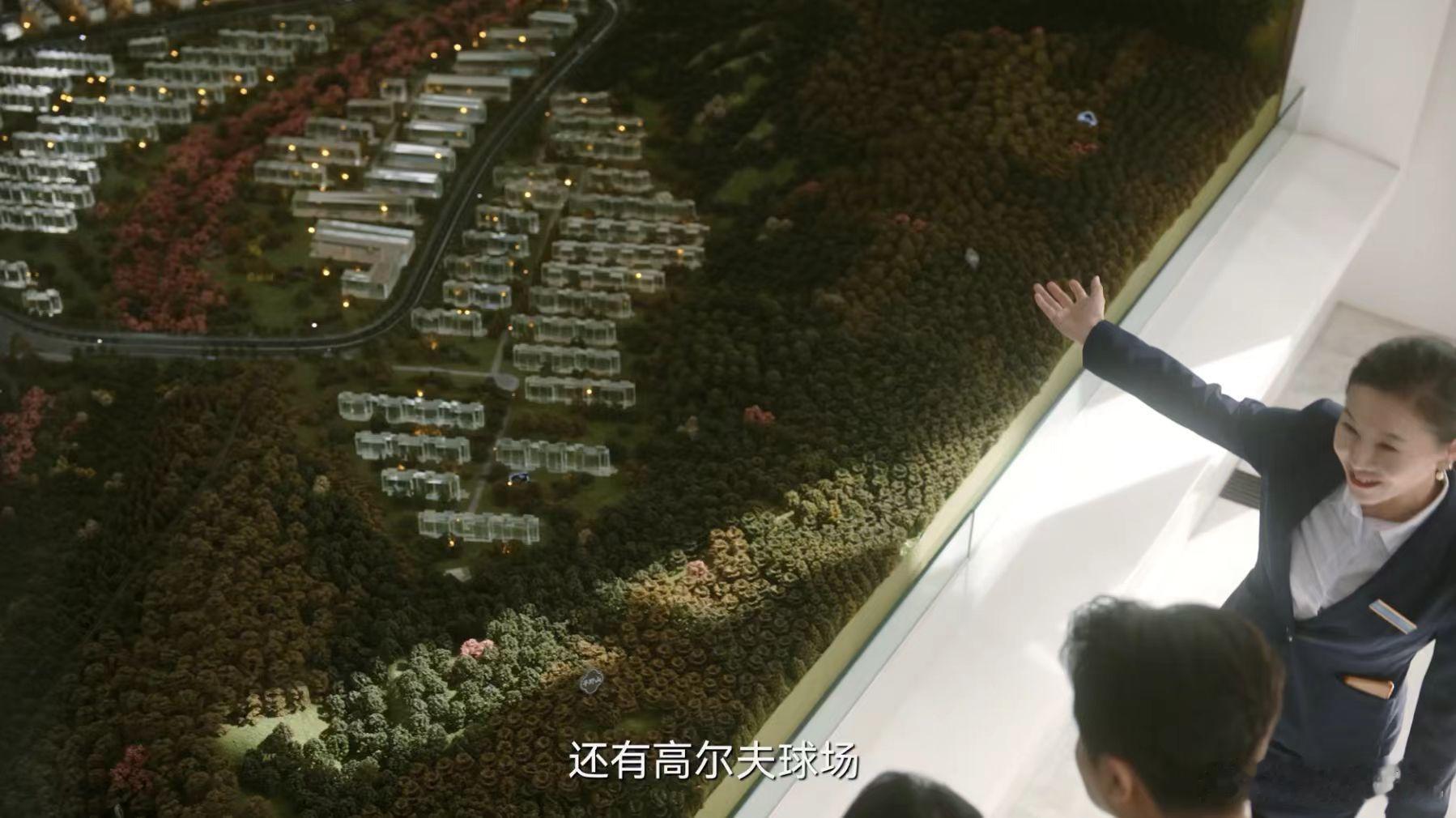 说好一起当骗子你却变了心  何巧慧骗阿姨五百多万，转头就被周大民算计，假离婚变真
