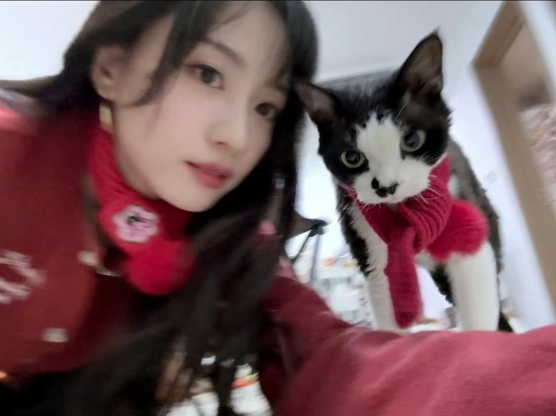 想看两个丑猫还家暴溺爱丑猫的主人同框上综艺艾特黄婷婷，艾特谢尔巴科娃