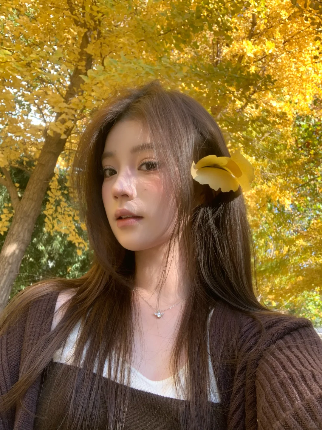 🍂