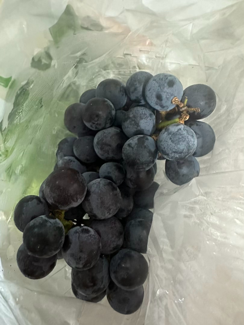 助理买的葡萄，新鲜吧