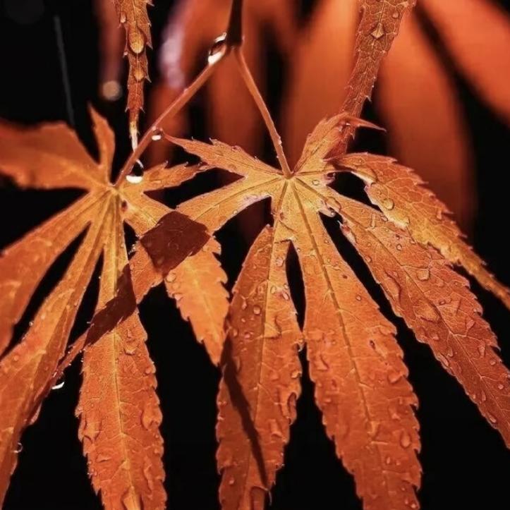 建议收藏，这篇内容值得反复读几遍。
年纪越大越明白，人生所有的痛苦、纠结、内耗，
