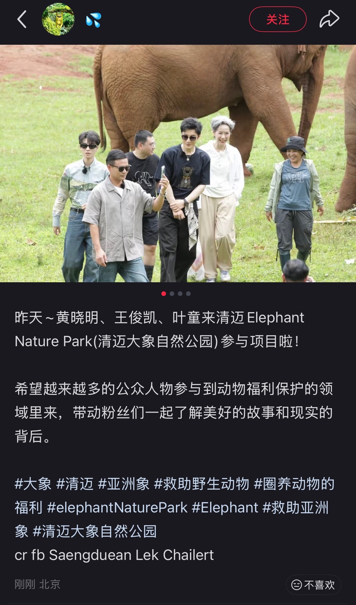 工作人员发了fb，原来不仅看了大象，还看了猫咪王俊凯 中餐厅10