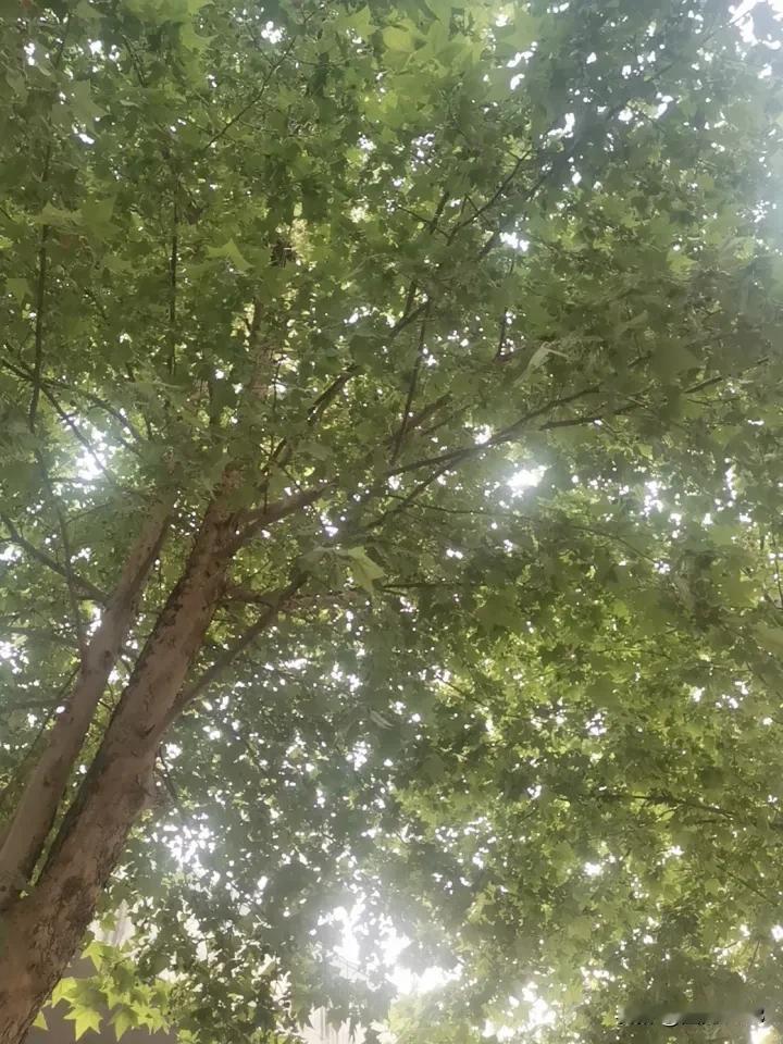 现在的教育存在哪些问题两级分化，越是有钱越是卷，老家农村的彻底放手。大城市初中高