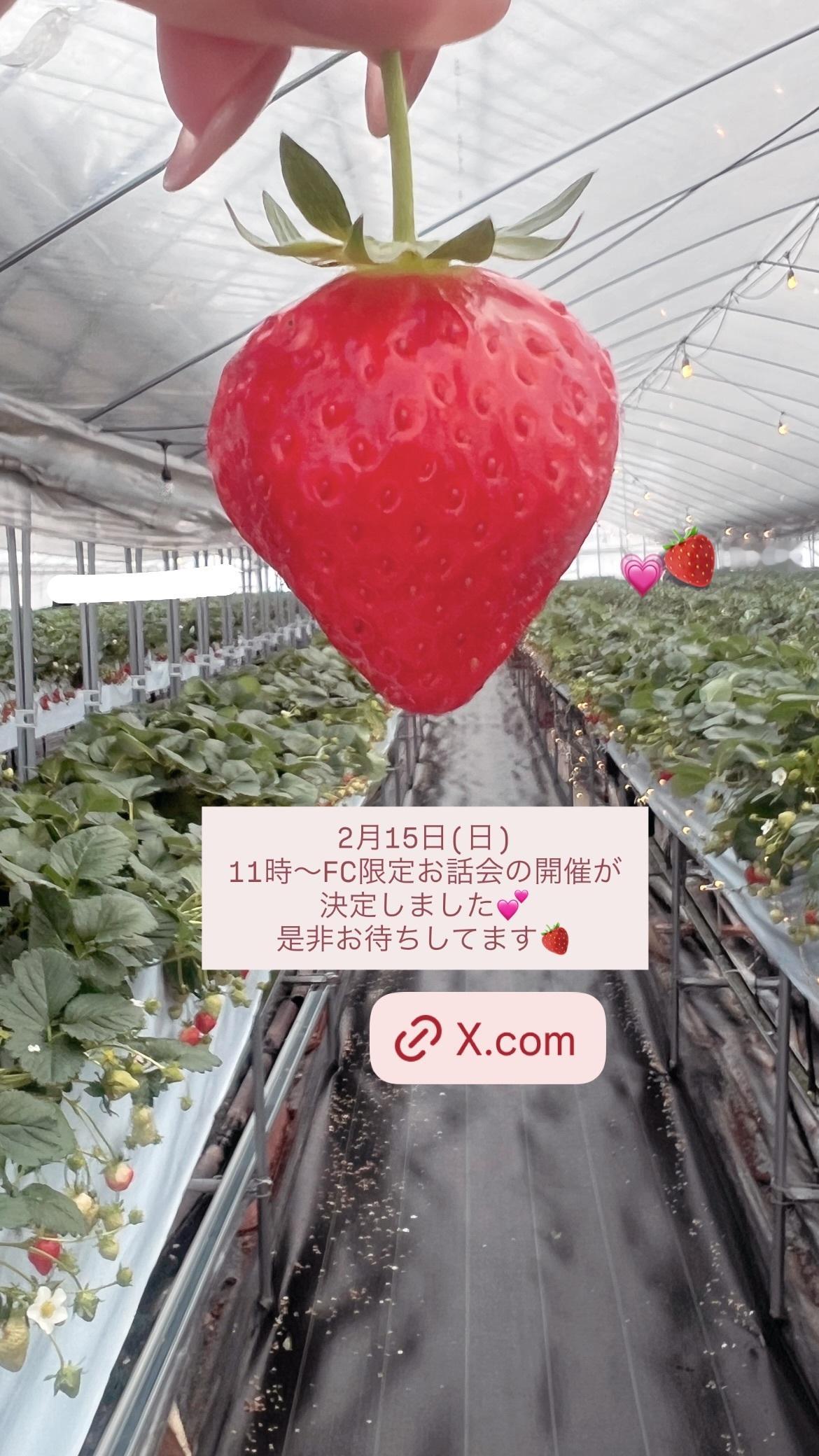 東村芽依🍓meigram