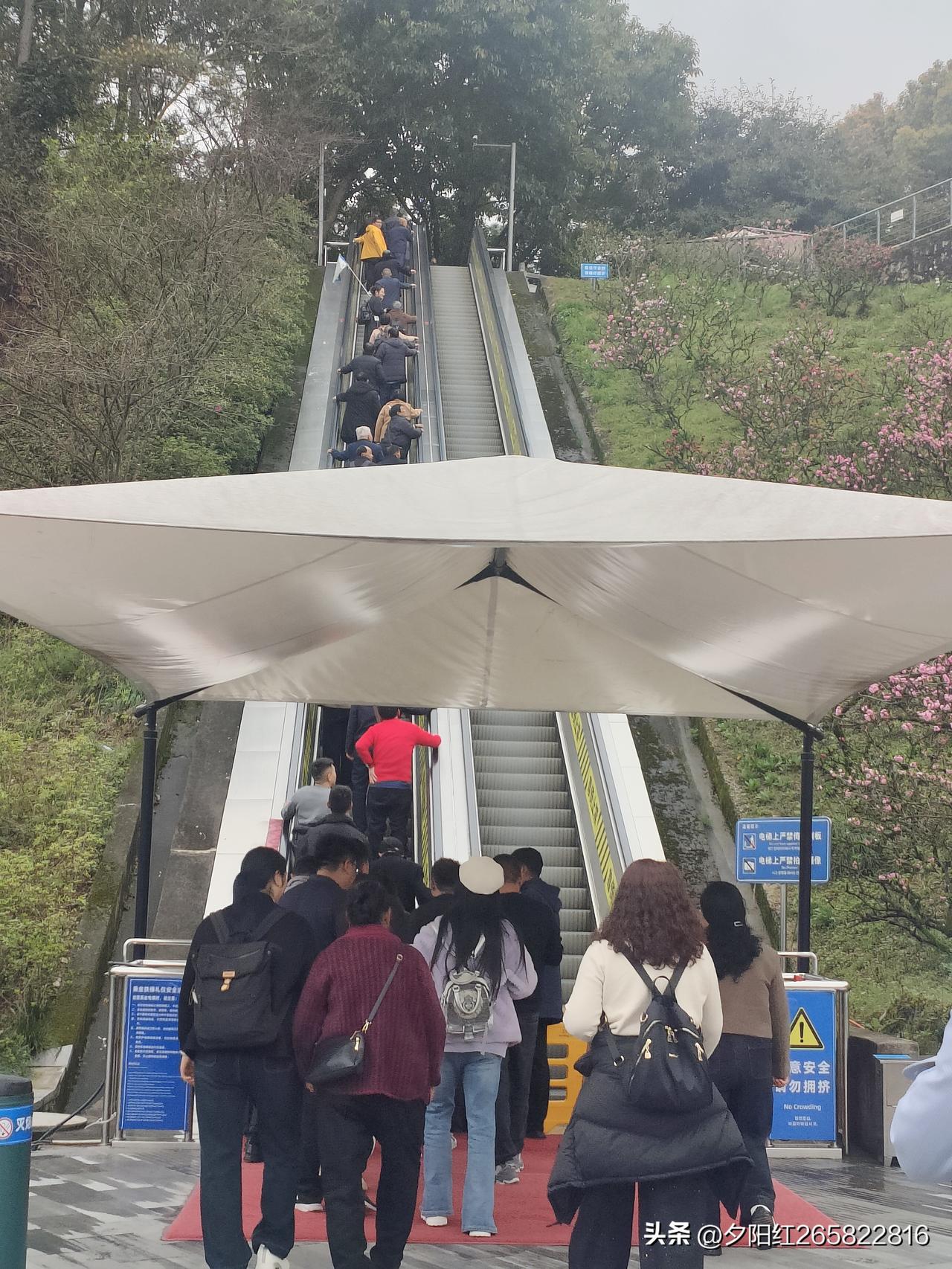 再去看，可能变化较大了。就像枣庄的天气，今天阴转多云，未来三天气温变化明显，说不