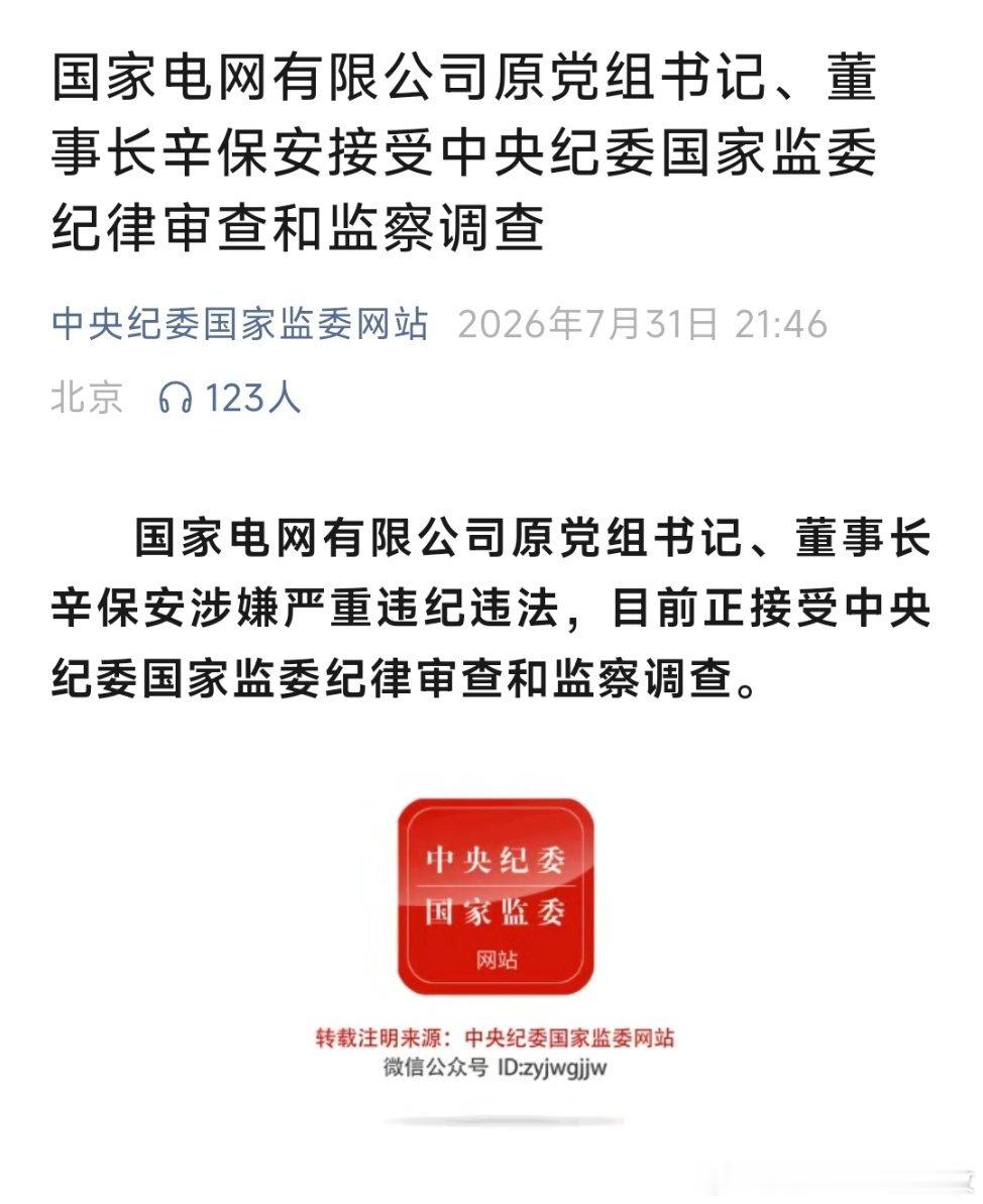 国家电网原董事长辛保安被查国家电网有限公司原党组书记、董事长辛保安接受中央纪委国