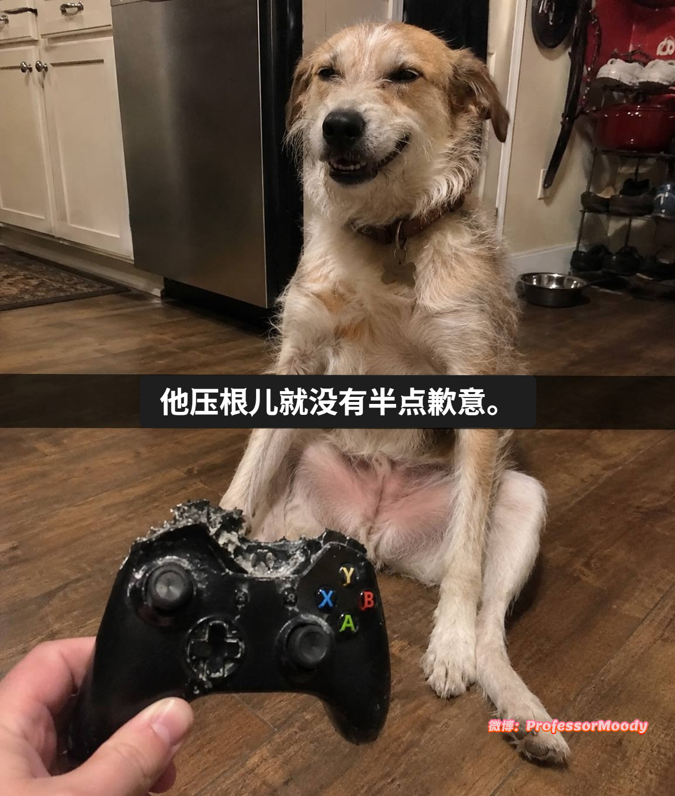 你还骄傲了？meme ​​​
