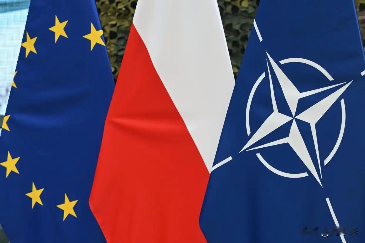 西方多国和欧盟发表声明！俄罗斯将如何应对？
乌克兰日前联合加拿大、英国、法国、德