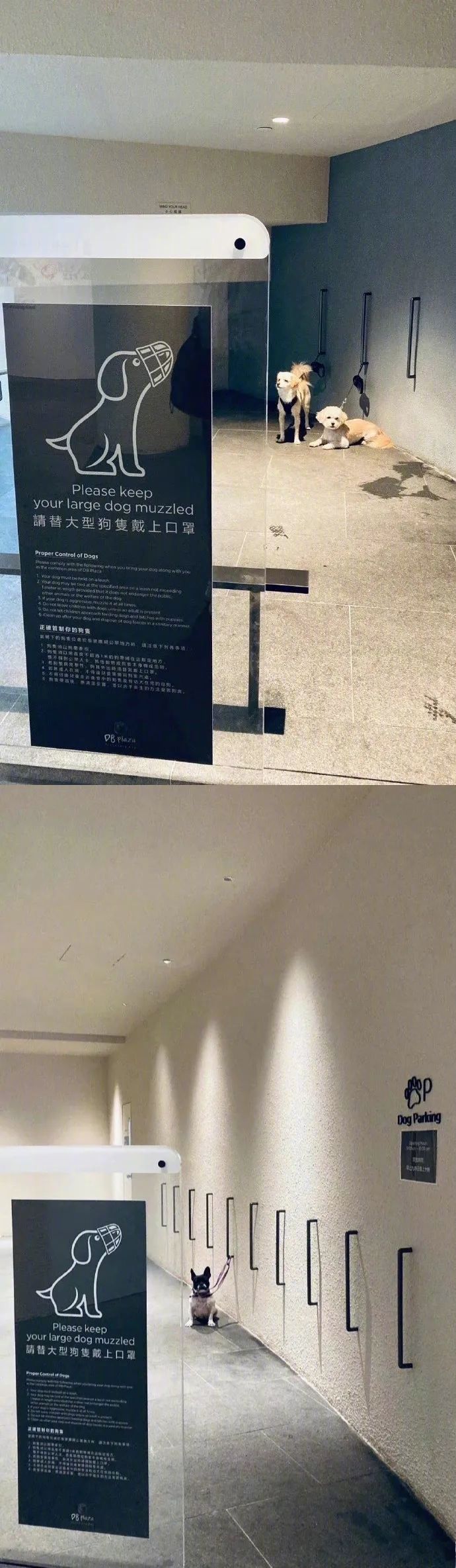 停狗场，感觉挺好的，应该推广应用！