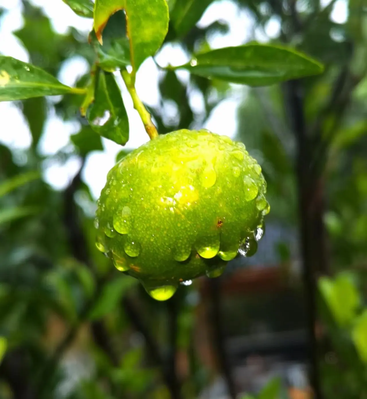 希望这个冬天：有人暖心，有衣暖身，有例外，也有偏爱。