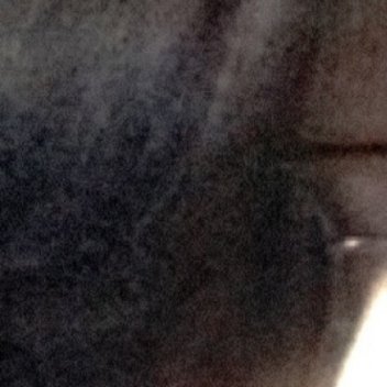 杨幂阳光信用 每日一善 熊猫守护者 养权重❗❗❗尊敬的先生我希望在你的Fendi