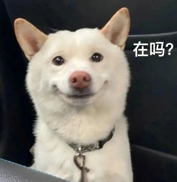 对大房子祛魅了 如果你对大房子祛魅的其实可以送我住一下，让我也祛祛魅