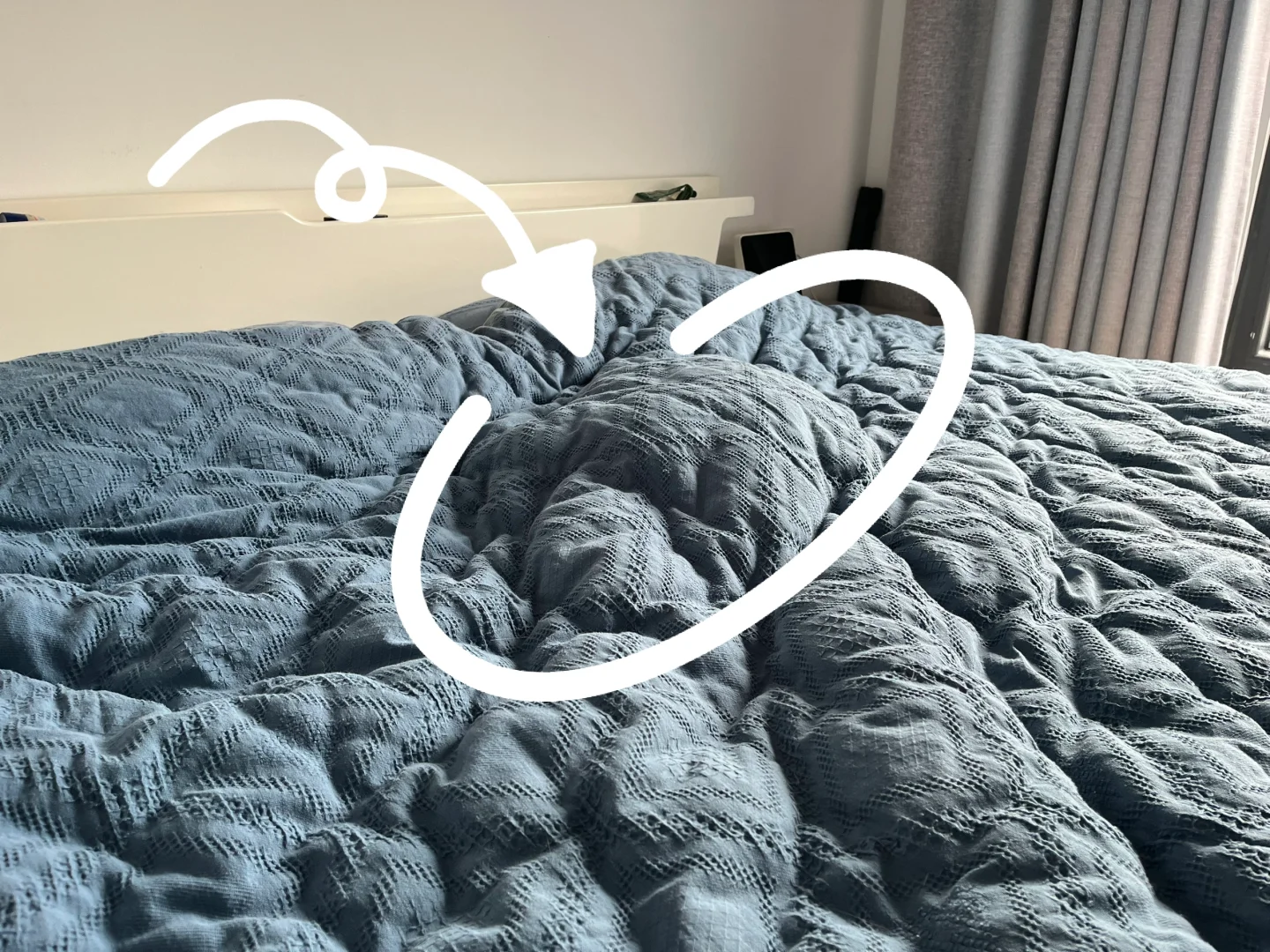 只有养猫的才知道这被子底下的门道有多深！