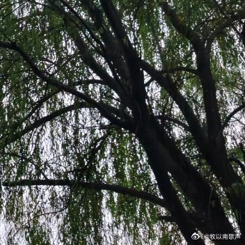 幸运从不偏爱守株待兔的人，而是青睐敢于主动出击的勇者。那些看似偶然的好运，往往藏
