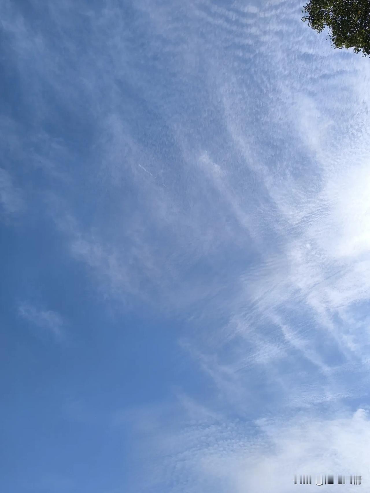 湖北武汉解放大道：武汉人终于实现吃阳光玫瑰自由了！国庆假期10月4日，天空蔚蓝！