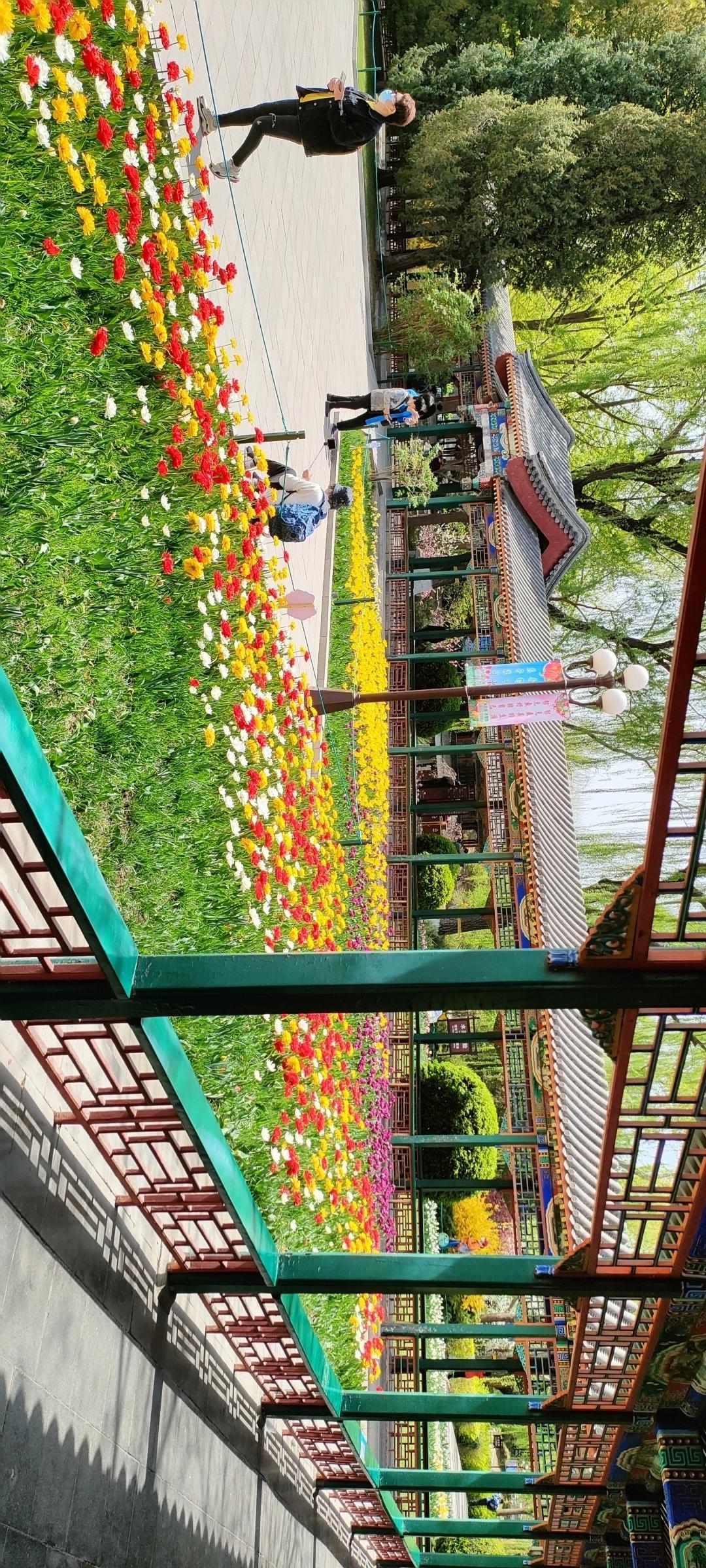 打卡最美花海，感受春日浪漫！🌸🌸🌸