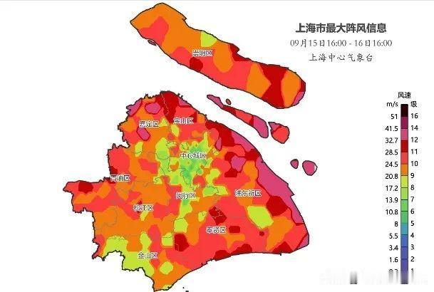 今天受台风贝碧嘉影响，上海大部出现9-11级大风，市区最大阵风12级，沿海阵风1