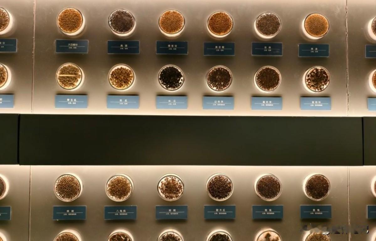 冬日生活打卡季最近天气寒冷了，但是似乎改变不了出门的这样的一个想法，因为每天都是