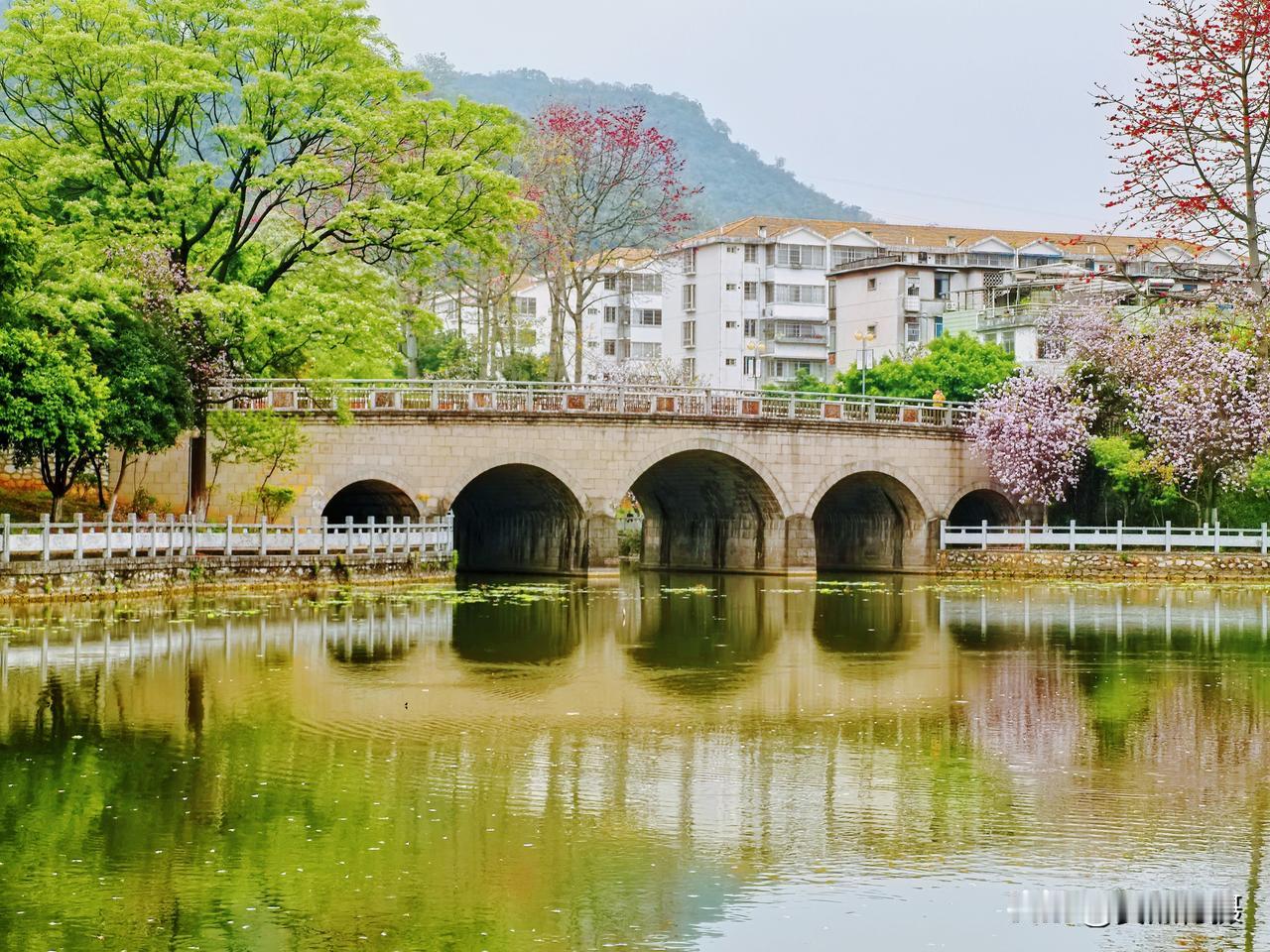 晒图大赛藏在柳州一生活区里的龙泉桥，倒影好美，拍照打卡推荐[赞][赞][赞]