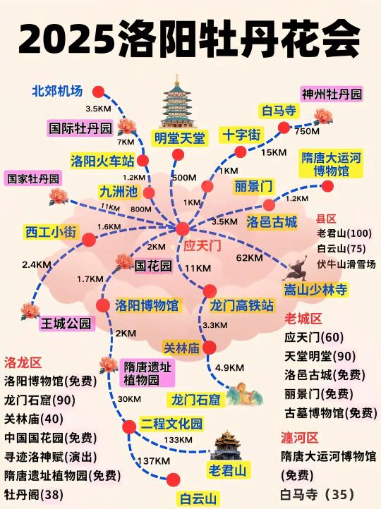 2025❗洛阳牡丹花卉最佳赏花时间及地点攻略