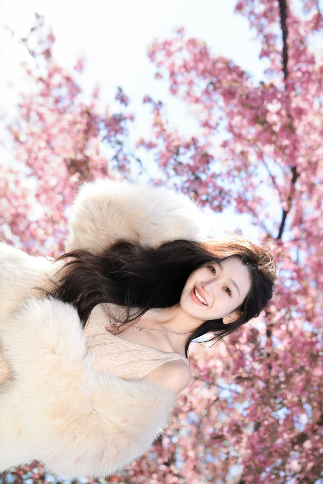 𝙃𝙚𝙮 𝙎𝙥𝙧𝙞𝙣𝙜💕 请你看粉色樱花