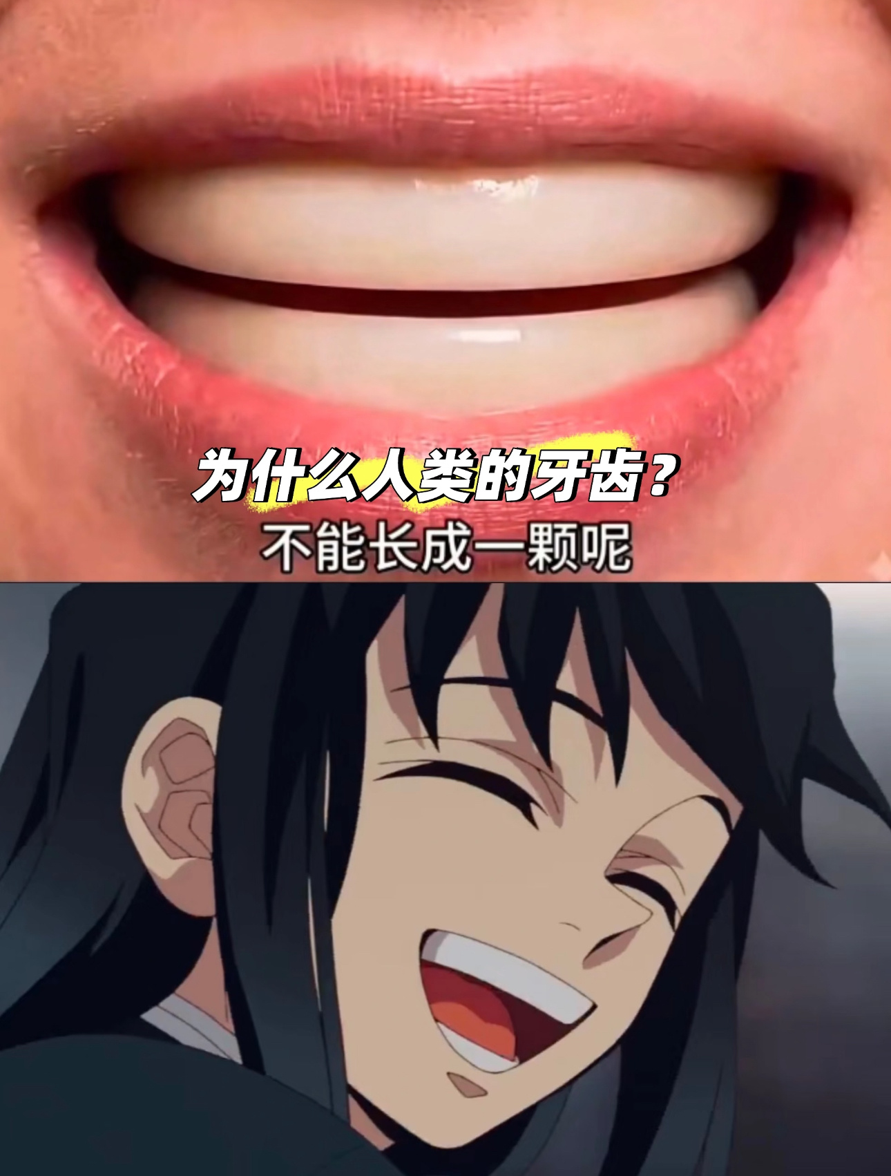 为什么人类的牙齿不能长成一颗 