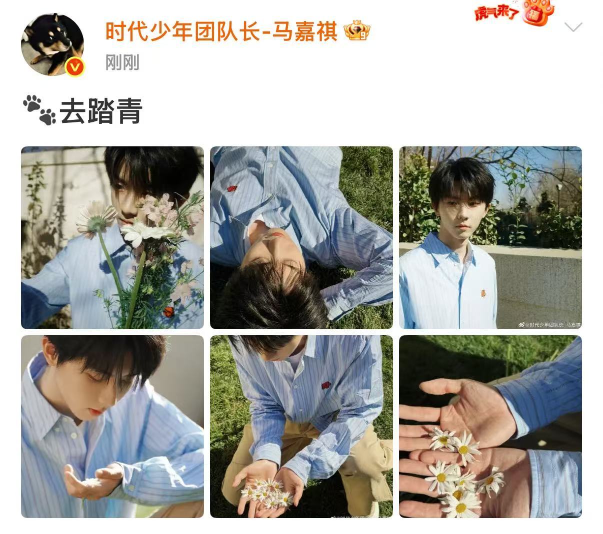 马嘉祺踏青博马嘉祺去踏青plog马嘉祺去踏青plog。帅的，