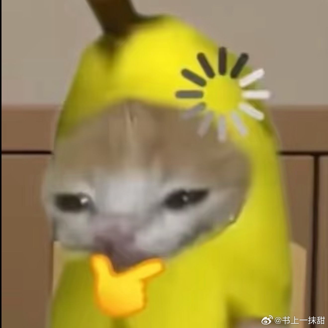 大家假期都看了什么言情文