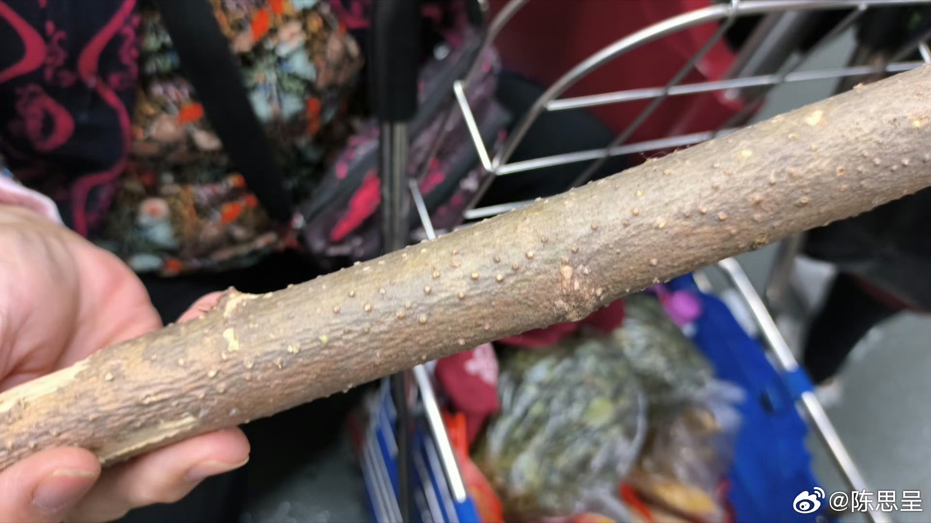 地铁上所见。图一：在我对面的一名女性趴在座位上写着什么，看起来不像是写作业。图二