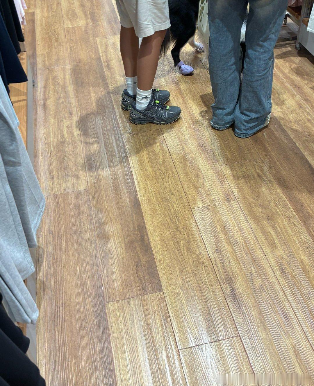 笑鼠去逛衣服店，看见边牧穿的小拖鞋