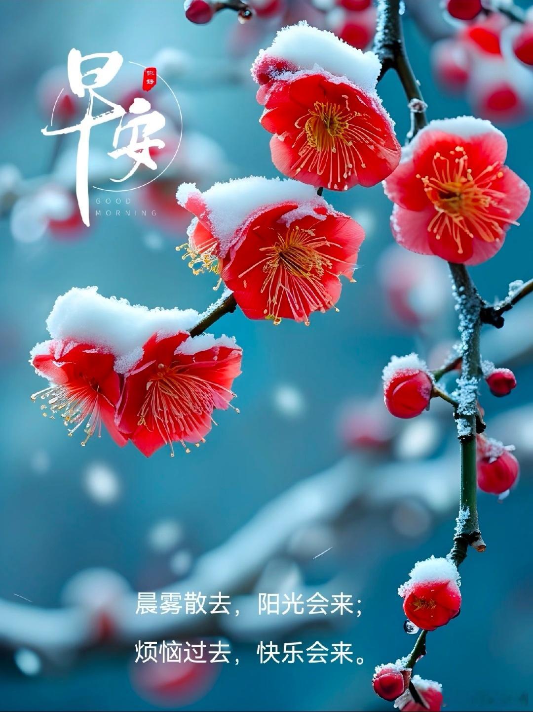 早安✨今日份温暖已送达 ，选一句陪你开启元气满满的一天，记得吃早餐，记得对自己温