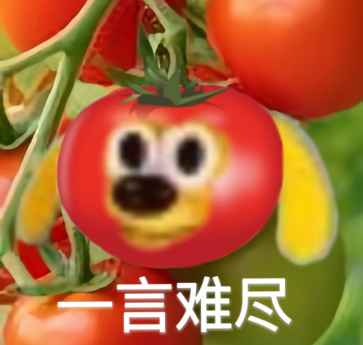 番茄狗有病表情包🍅 