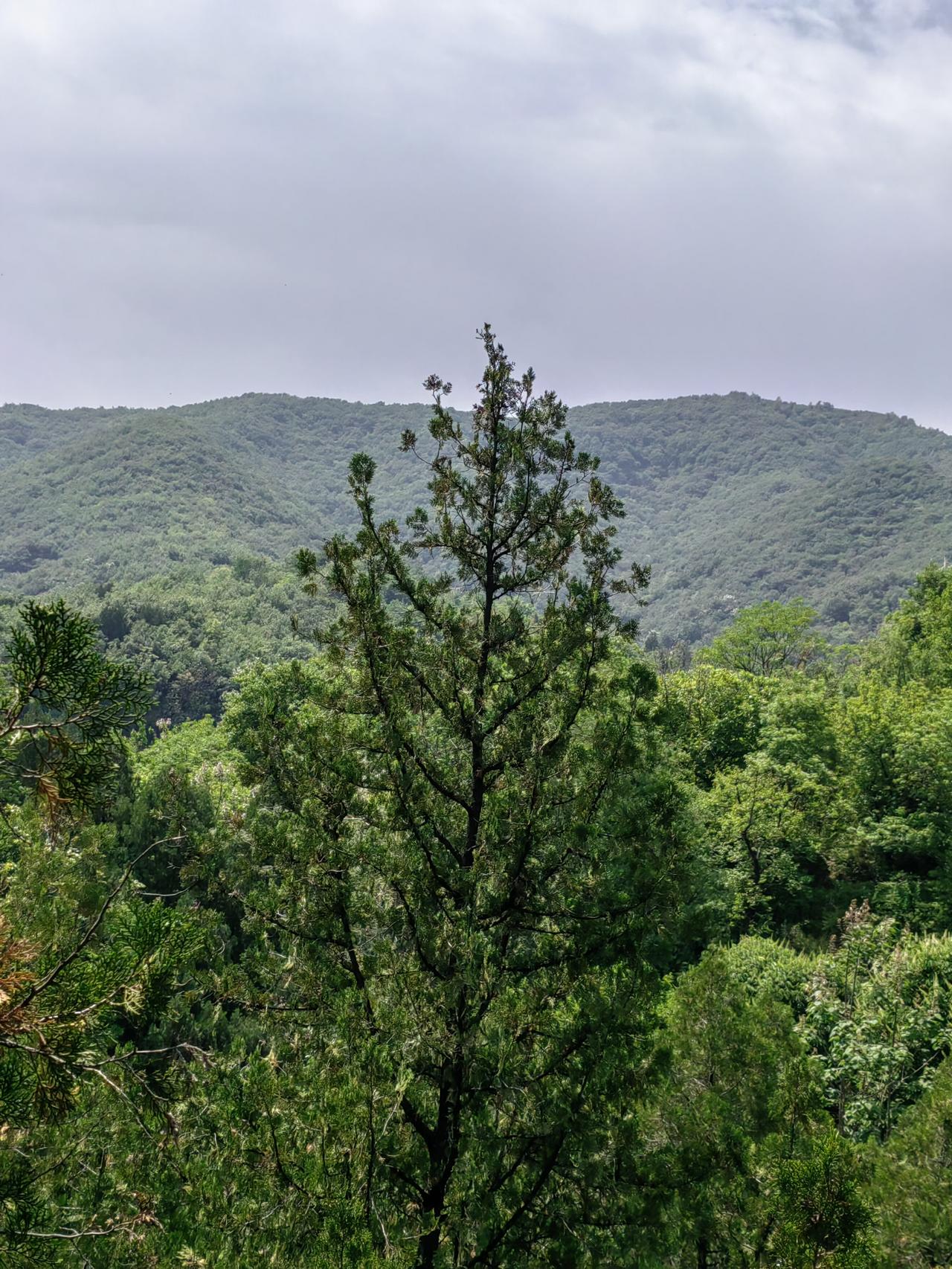 柴荣征南唐攻打楚州（今淮安）时遇到了硬茬，守将张彦卿誓死不降，带领剩余千名士兵，