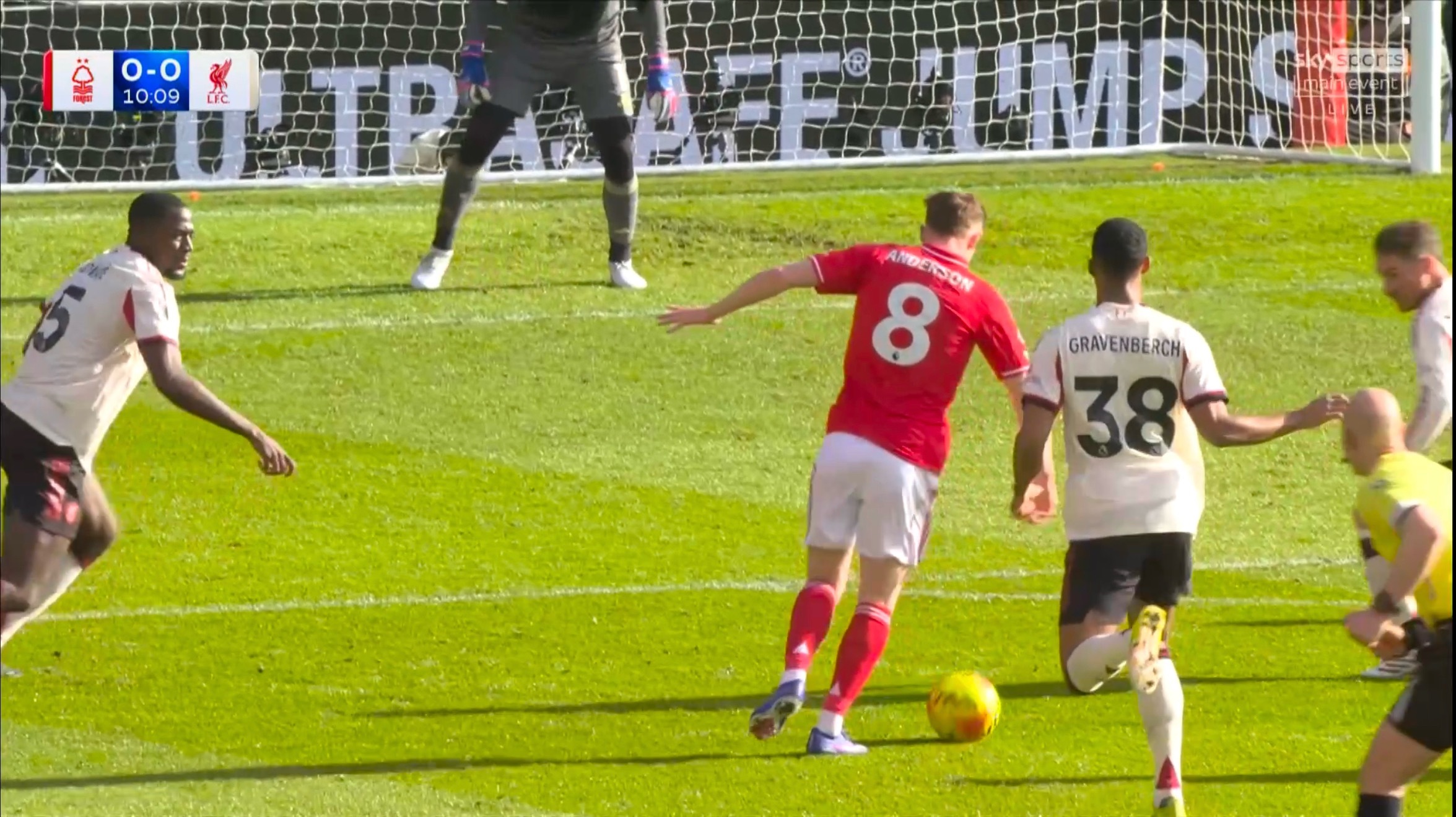 都在督战安德森吗？