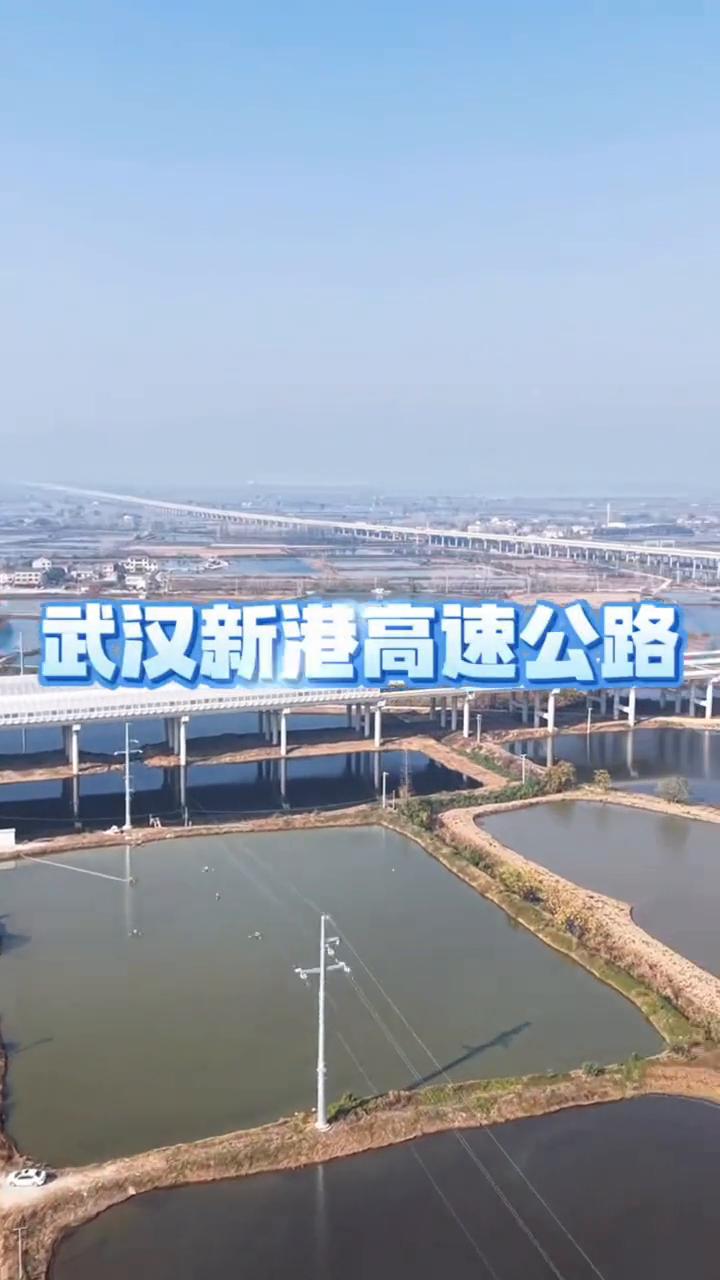 武汉新港高速公路。