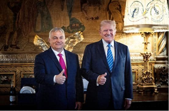 特朗普在欧洲最铁的兄弟，竞选输得底朝天，他倒好，不光半点儿不伤心，还乐呵呵地夸新