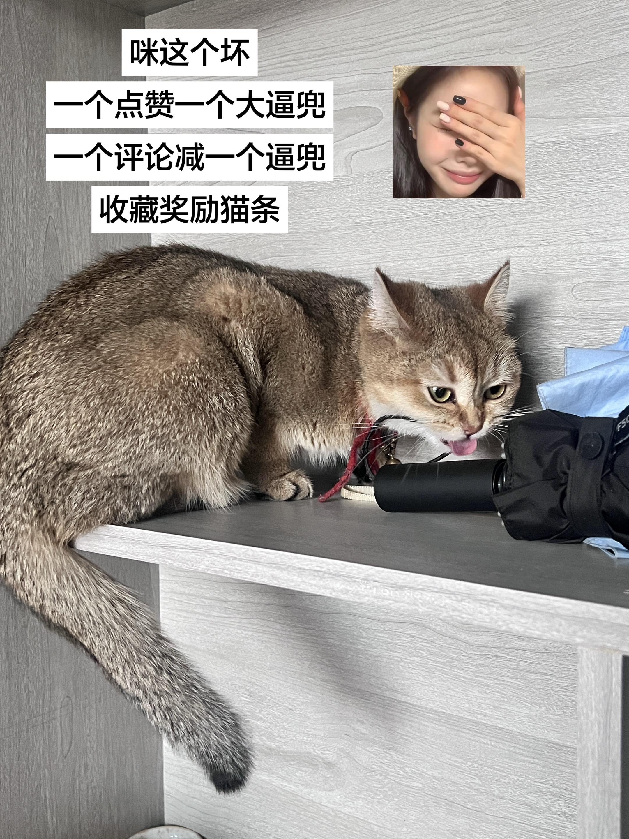 干坏事的时候眼睛瞎了耳朵也聋了 执法记录仪怼脸上也不管 喊半天也不理