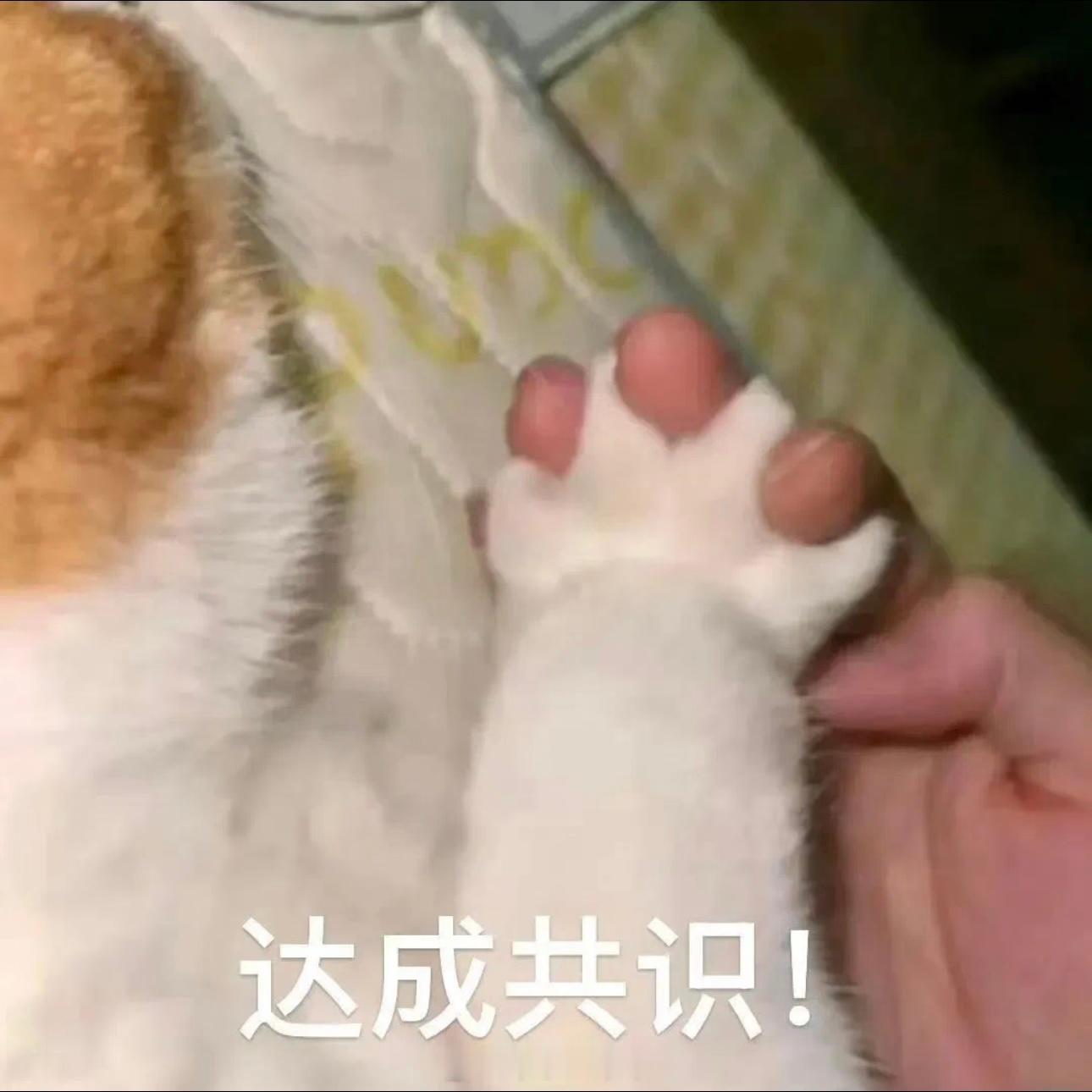 我今天打算休息不回家拆房子了一是因为我鼻子眼睛都过敏，好难受昨天晚上也一直醒没睡