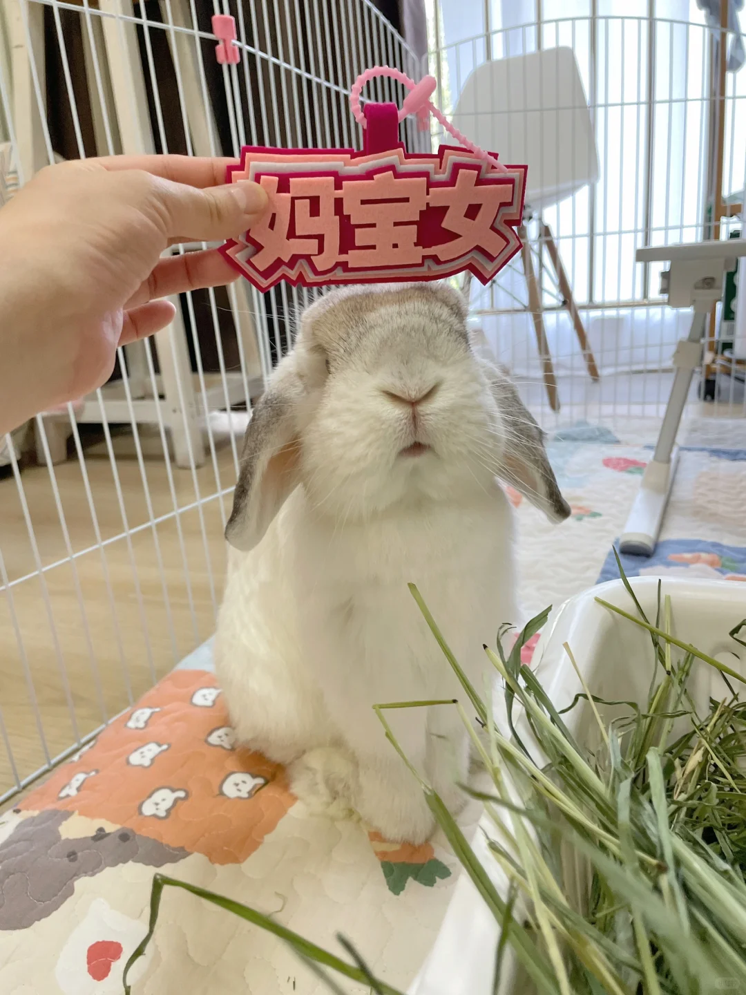 喜欢麻麻的礼物吗🥰